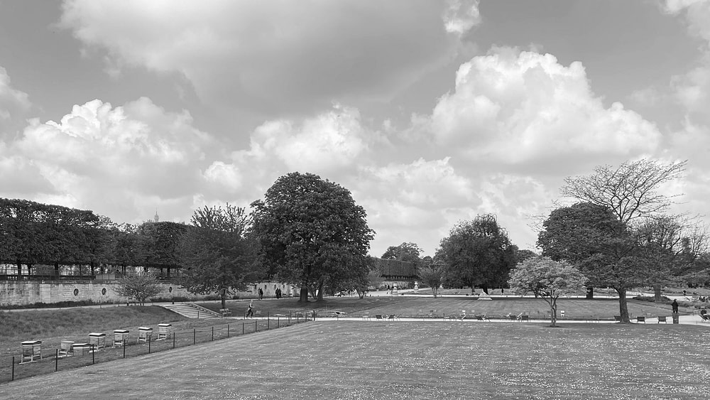 tuileries-paris Improvisation cours en plein air à Paris au jardin des Tuileries